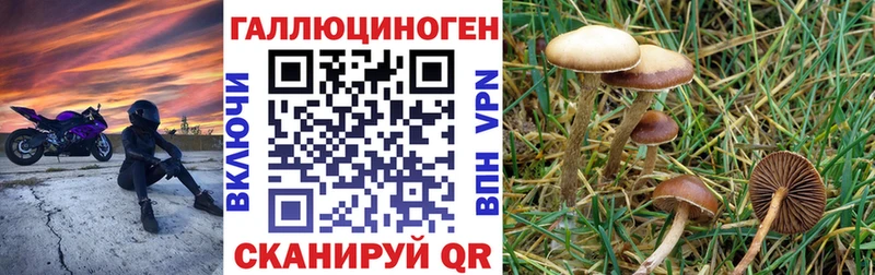Псилоцибиновые грибы GOLDEN TEACHER  дарнет шоп  Солнечногорск 