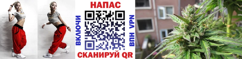 Бошки марихуана конопля  Солнечногорск 